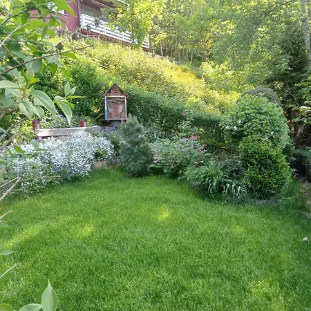 Haus Wiesental شقة *