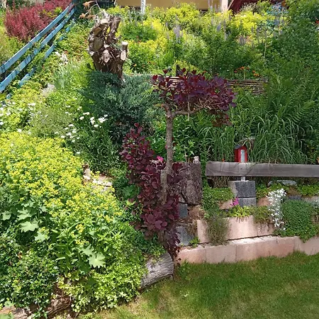 شقة Haus Wiesental *