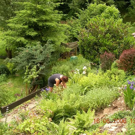 شقة Haus Wiesental *