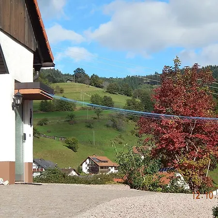 Haus Wiesental شقة