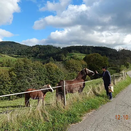 شقة Haus Wiesental *