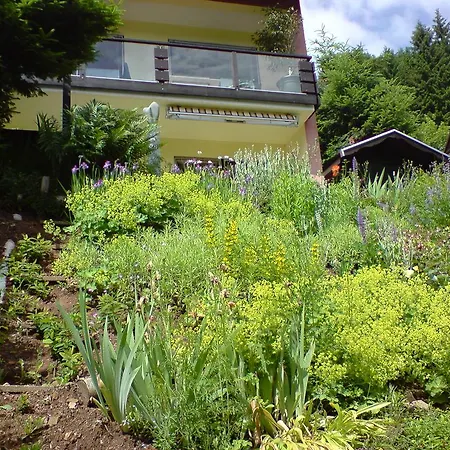 شقة Haus Wiesental