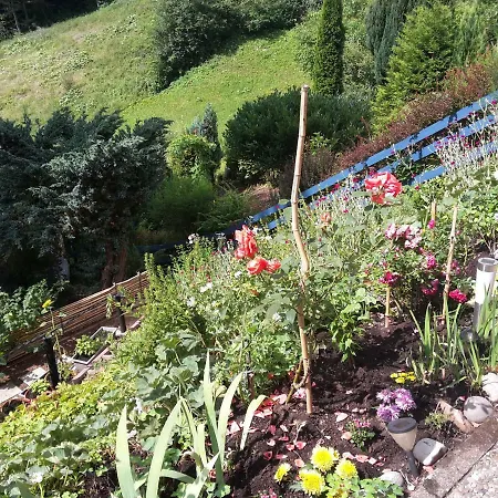 Haus Wiesental Kleines Wiesental