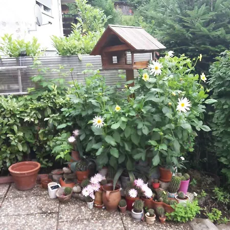 Haus Wiesental Kleines Wiesental