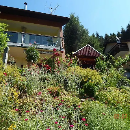 Haus Wiesental Апартаменты *