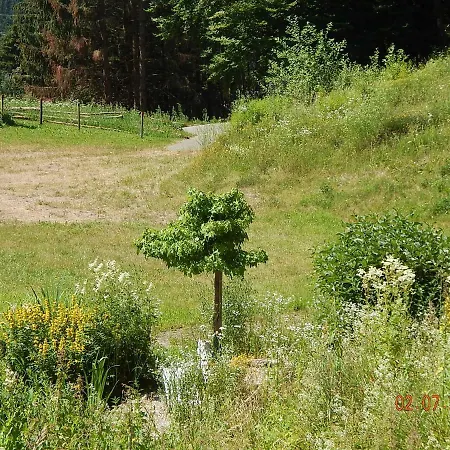 Haus Wiesental شقة *